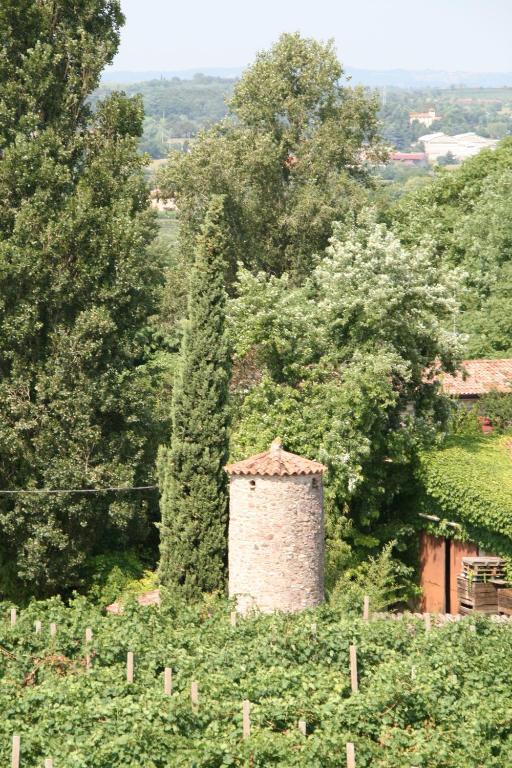 Agriturismo Corte Marzago Salionze Dış mekan fotoğraf